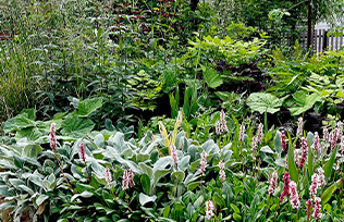 07_Blomster ny_Lommepark v. Frb Centret_ULN_2019_003.jpg