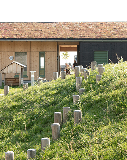 12_Ext stubbe høj_nørrestrand daginstitution_22-040.jpg